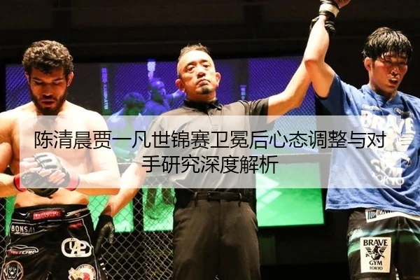 chen-qing-chen-jia-yi-fan-shi-jin-sai-wei-mian-hou-xin-tai-tiao-zheng-yu-dui-shou-yan-jiu-shen-du-jie-xi-2-220.jpg